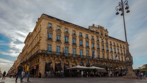 Lutte contre les nuisibles Bordeaux