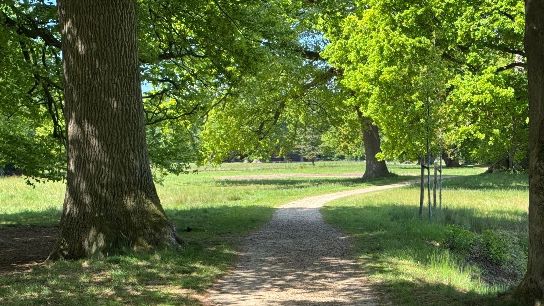 Lutte contre les nuisibles à Bordeaux